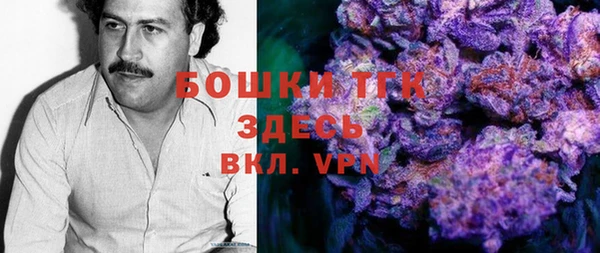 тгк Вяземский