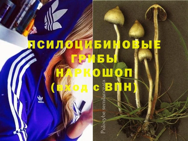 тгк Вяземский