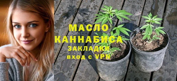 тгк Вяземский