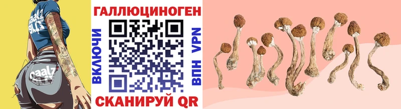 Галлюциногенные грибы Magic Shrooms  Купить закладки  Большой Камень 